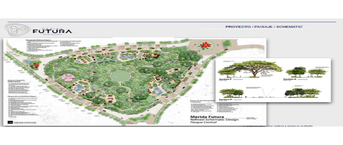 Foto de terreno habitacional en venta en  , montebello, mérida, yucatán, 0 No. 05