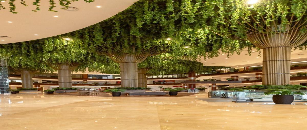 Foto de local en renta en  , montebello, mérida, yucatán, 0 No. 04