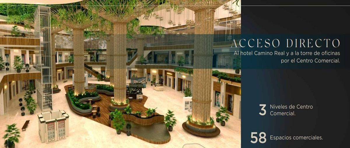 Foto de local en renta en montebello , montebello, mérida, yucatán, 25488514 No. 05