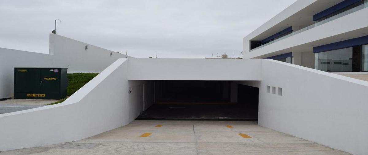 Foto de local en renta en  , montecarlo norte, mérida, yucatán, 11753985 No. 05