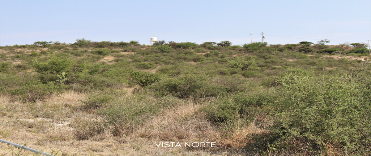 Foto de terreno habitacional en venta en montecillo , montecillo de nieto, san miguel de allende, guanajuato, 24879253 No. 03