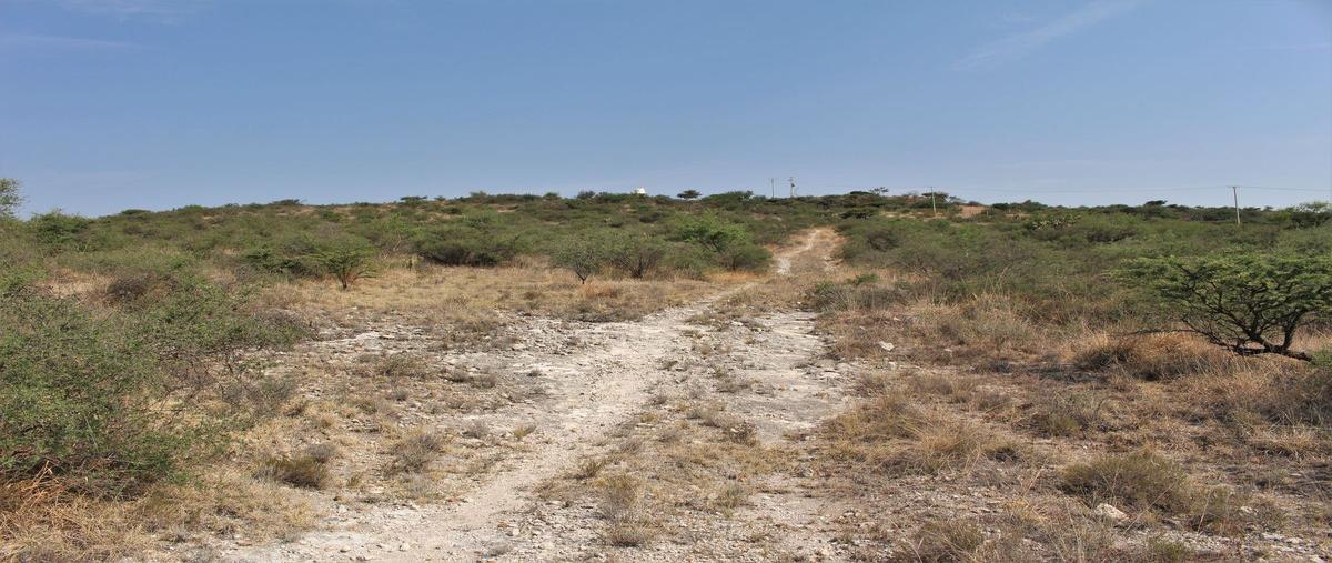 Foto de terreno habitacional en venta en montecillo , montecillo de nieto, san miguel de allende, guanajuato, 24879253 No. 04