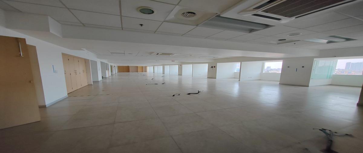 Foto de oficina en montecito , napoles, benito juárez, df / cdmx, 26623003 foto 01 Foto de oficina en renta en montecito , napoles, benito juárez, df / cdmx, 26623003 No. 01