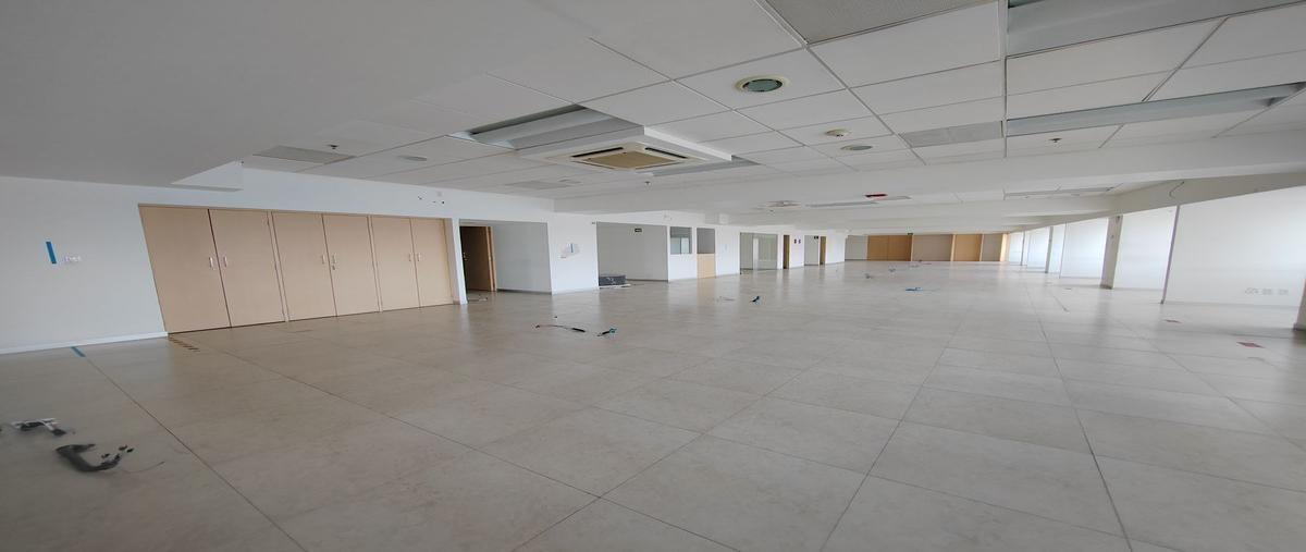 Foto de oficina en montecito , napoles, benito juárez, df / cdmx, 26623003 foto 03 Foto de oficina en renta en montecito , napoles, benito juárez, df / cdmx, 26623003 No. 03