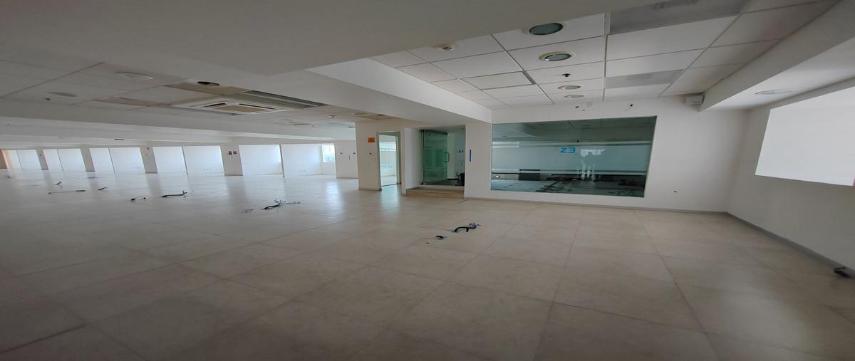 Foto de oficina en montecito , napoles, benito juárez, df / cdmx, 26623003 foto 04 Foto de oficina en renta en montecito , napoles, benito juárez, df / cdmx, 26623003 No. 04