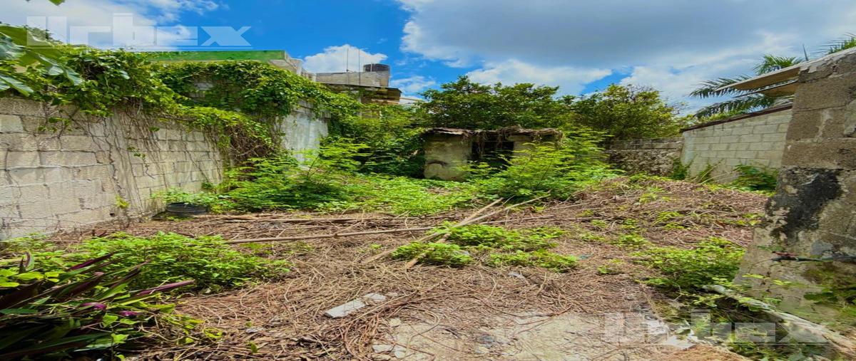 Foto de casa en venta en  , montecristo, campeche, campeche, 0 No. 04