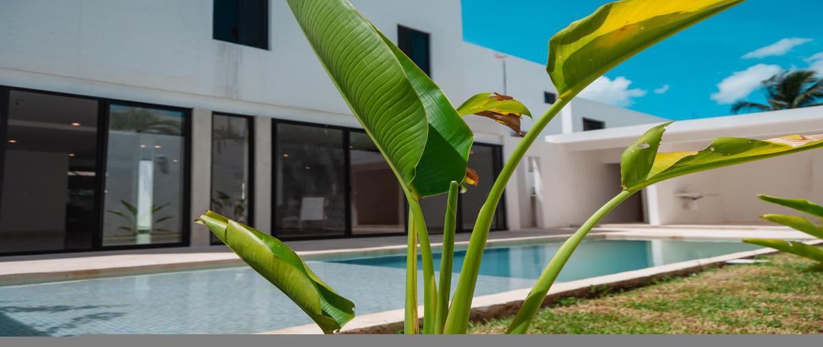 Foto de casa en renta en  , montecristo, mérida, yucatán, 30198445 No. 03