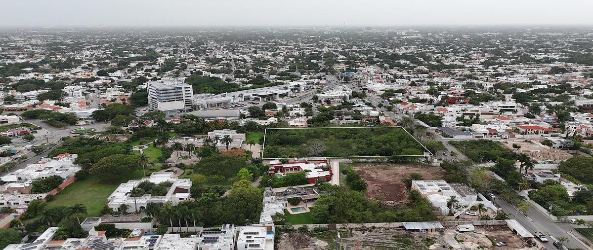 Foto de terreno habitacional en , montecristo, mérida, yucatán, 0 foto 03 Foto de terreno habitacional en venta en , montecristo, mérida, yucatán, 0 No. 03
