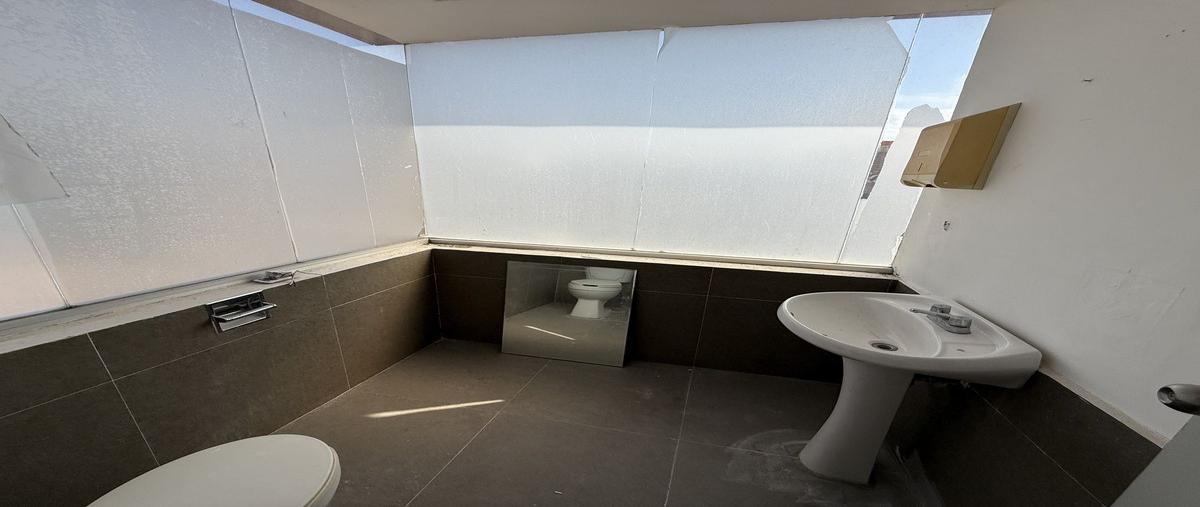 Foto de local en , montejo, mérida, yucatán, 0 foto 05 Foto de local en renta en , montejo, mérida, yucatán, 0 No. 05