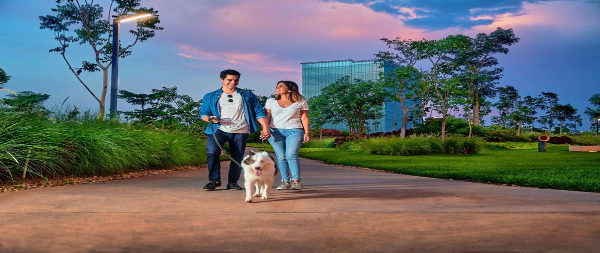 Foto de oficina en venta en  , montejo, mérida, yucatán, 30478236 No. 03