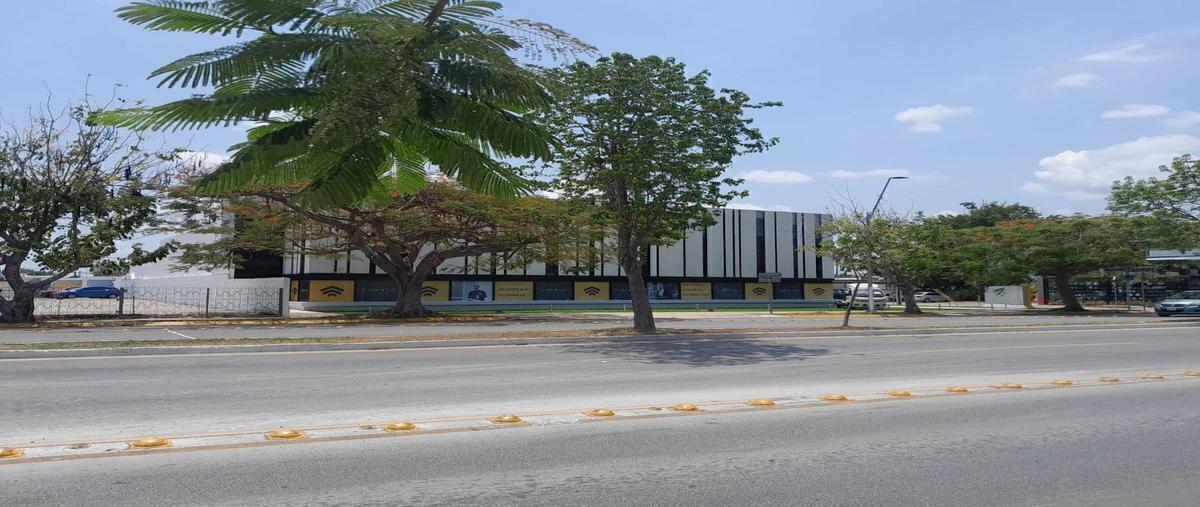 Foto de terreno habitacional en venta en  , montejo, mérida, yucatán, 0 No. 03