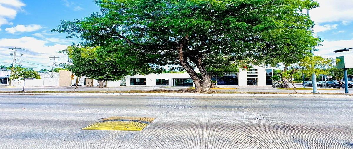 Foto de local en renta en  , montejo, mérida, yucatán, 0 No. 04