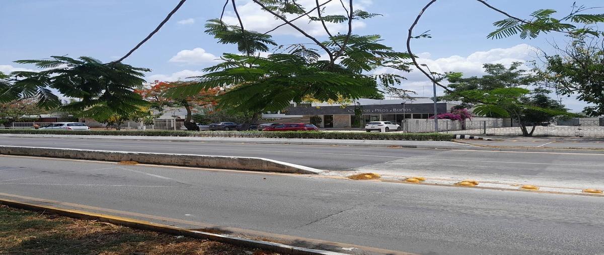 Foto de terreno habitacional en venta en  , montejo, mérida, yucatán, 0 No. 04