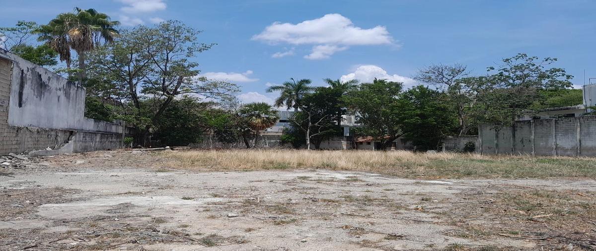 Foto de terreno habitacional en venta en  , montejo, mérida, yucatán, 0 No. 05