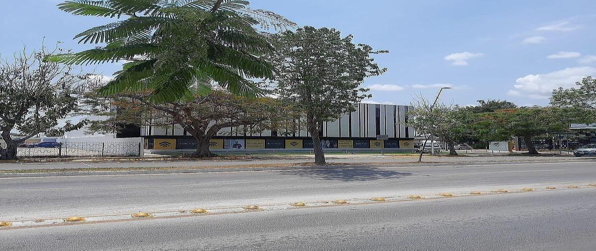 Foto de terreno habitacional en venta en  , montejo, mérida, yucatán, 0 No. 03