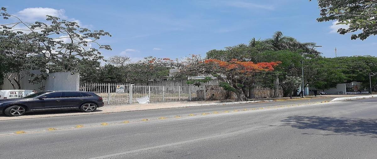 Foto de terreno habitacional en venta en  , montejo, mérida, yucatán, 0 No. 04