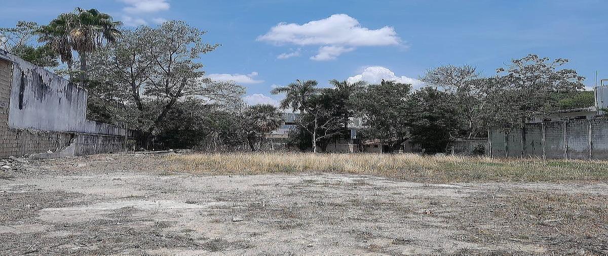 Foto de terreno habitacional en venta en  , montejo, mérida, yucatán, 0 No. 05