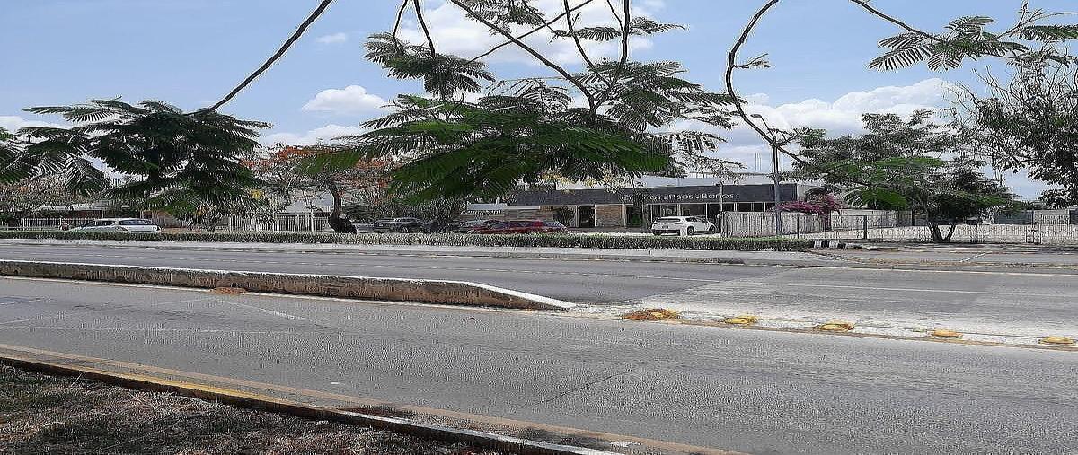 Foto de terreno habitacional en venta en  , montejo, mérida, yucatán, 0 No. 04