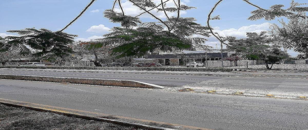 Foto de terreno habitacional en venta en  , montejo, mérida, yucatán, 0 No. 04
