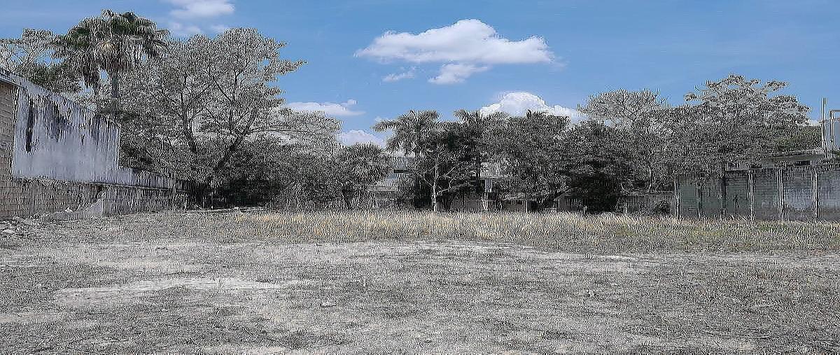 Foto de terreno habitacional en venta en  , montejo, mérida, yucatán, 0 No. 05