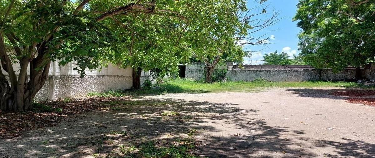 Foto de terreno habitacional en , montejo, mérida, yucatán, 0 foto 05 Foto de terreno habitacional en venta en , montejo, mérida, yucatán, 0 No. 05