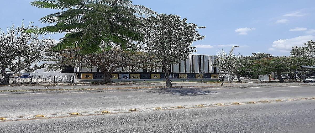 Foto de terreno habitacional en venta en  , montejo, mérida, yucatán, 0 No. 03