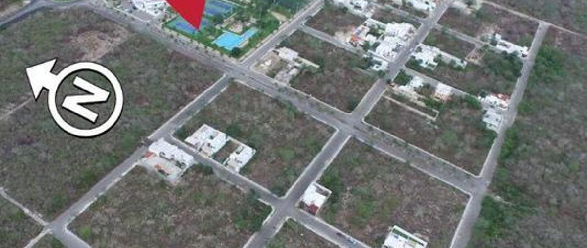 Foto de terreno habitacional en venta en  , montejo, mérida, yucatán, 7861693 No. 01