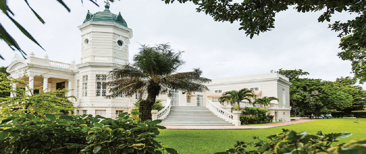 Foto de terreno habitacional en venta en montejo , montejo, mérida, yucatán, 0 No. 05