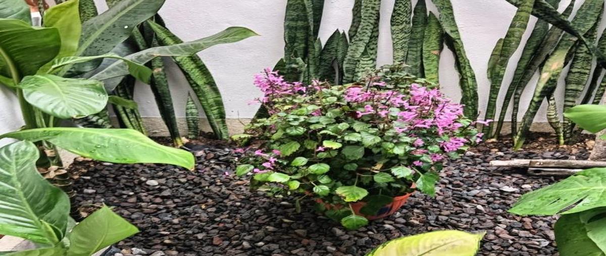 Foto de casa en renta en  , montellano, villa de álvarez, colima, 30573521 No. 05