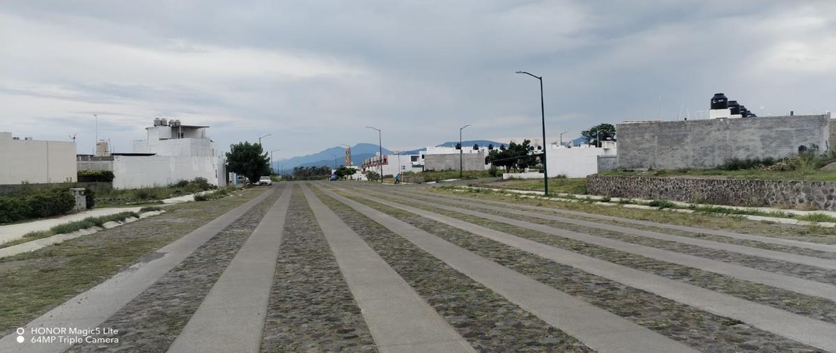 Foto de terreno habitacional en renta en  , montellano, villa de álvarez, colima, 0 No. 03