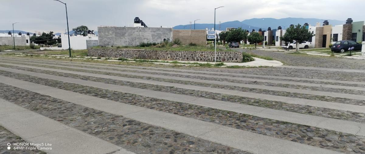 Foto de terreno habitacional en renta en  , montellano, villa de álvarez, colima, 0 No. 04