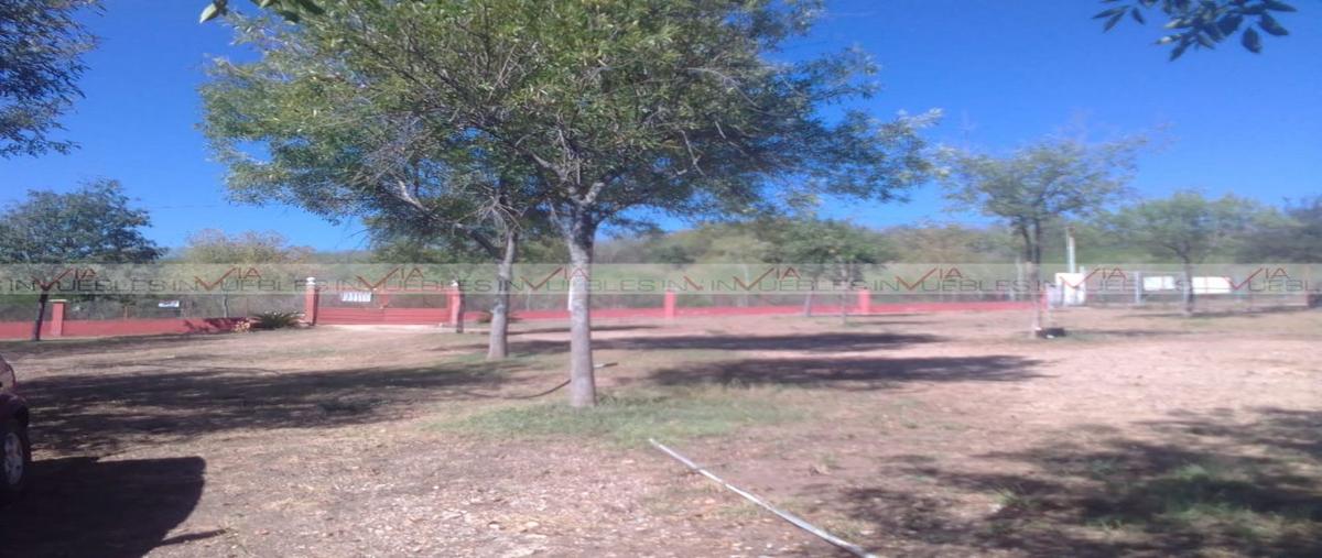 Foto de rancho en venta en montemorelos centro , montemorelos centro, montemorelos, nuevo león, 27033051 No. 05