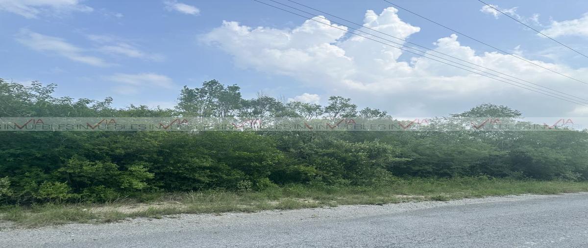 Foto de terreno habitacional en venta en montemorelos centro , montemorelos centro, montemorelos, nuevo león, 30402204 No. 04