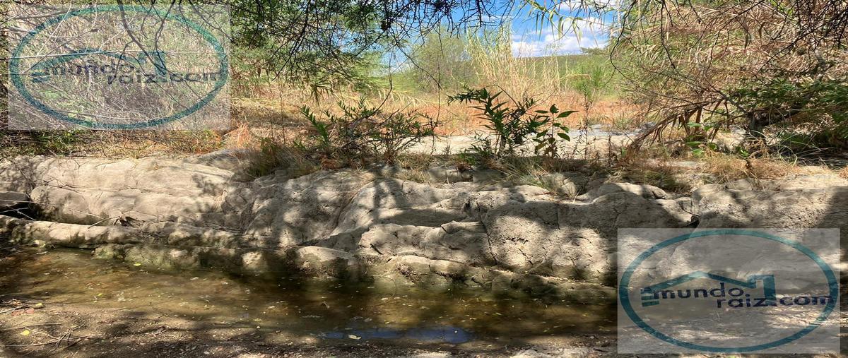 Foto de terreno habitacional en venta en  , montemorelos centro, montemorelos, nuevo león, 10473046 No. 04