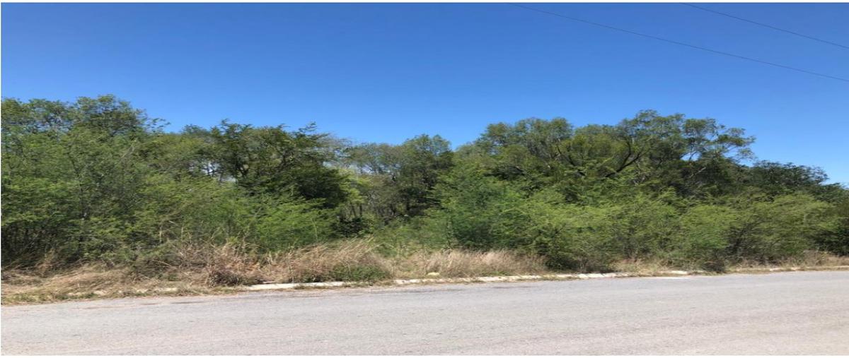 Foto de terreno habitacional en venta en  , montemorelos centro, montemorelos, nuevo león, 0 No. 05