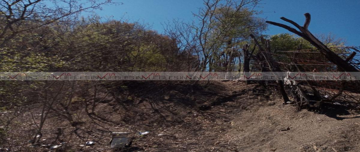Foto de terreno industrial en venta en  , montemorelos centro, montemorelos, nuevo león, 26959951 No. 05