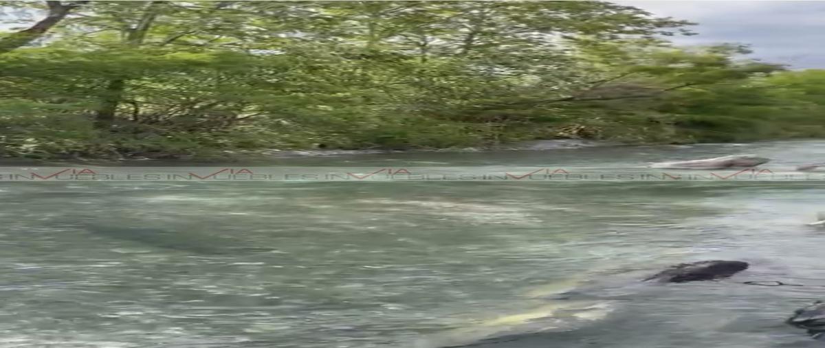 Foto de rancho en venta en  , montemorelos centro, montemorelos, nuevo león, 26961070 No. 04