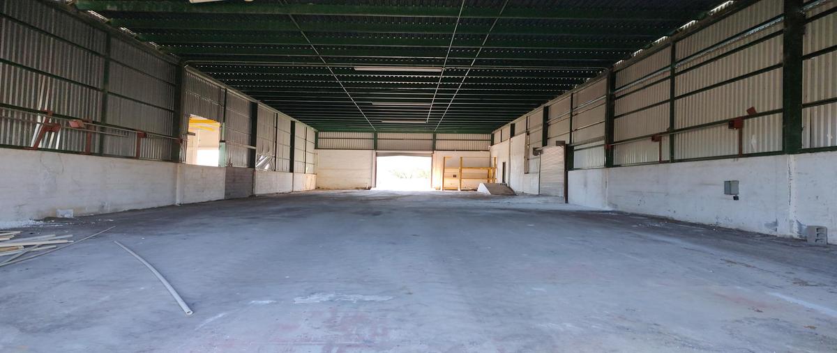 Foto de bodega en renta en  , montemorelos centro, montemorelos, nuevo león, 0 No. 03