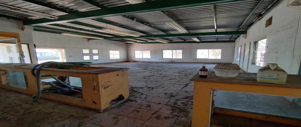 Foto de bodega en renta en  , montemorelos centro, montemorelos, nuevo león, 0 No. 04