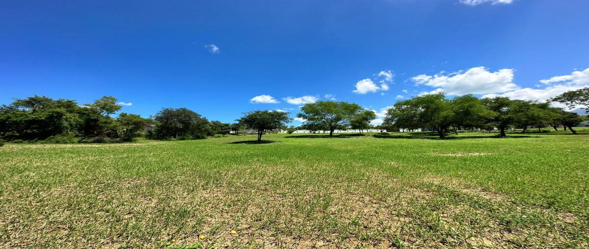 Foto de terreno habitacional en venta en  , montemorelos centro, montemorelos, nuevo león, 0 No. 03