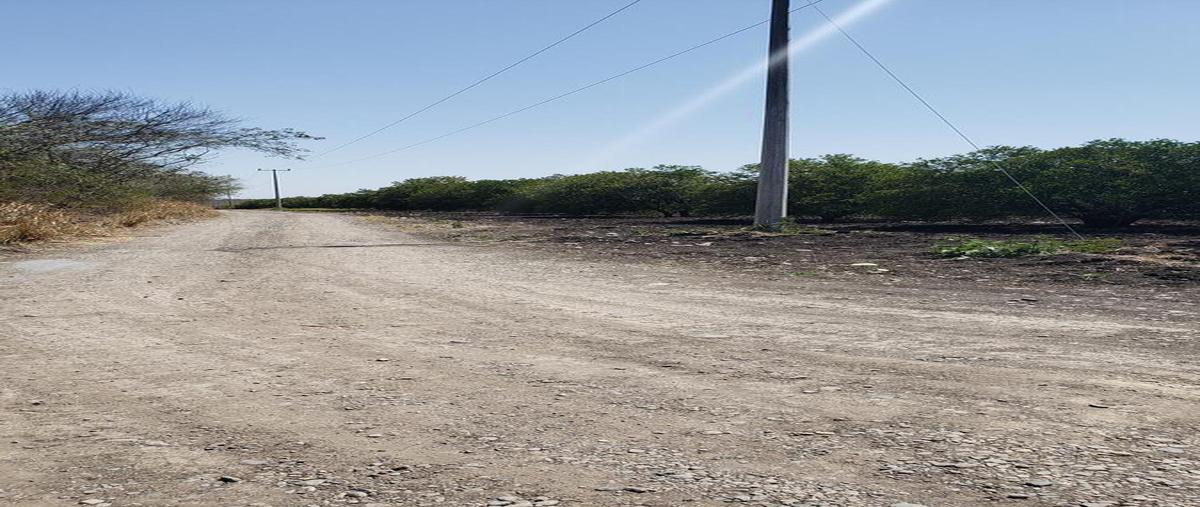 Foto de terreno habitacional en venta en  , montemorelos centro, montemorelos, nuevo león, 0 No. 04