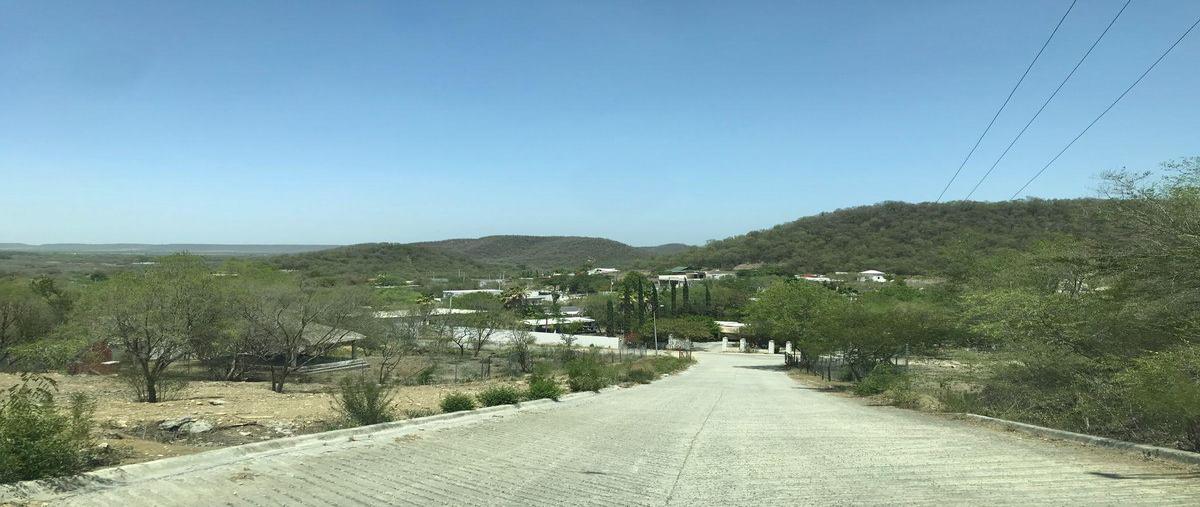Foto de terreno habitacional en venta en  , montemorelos centro, montemorelos, nuevo león, 30109796 No. 04