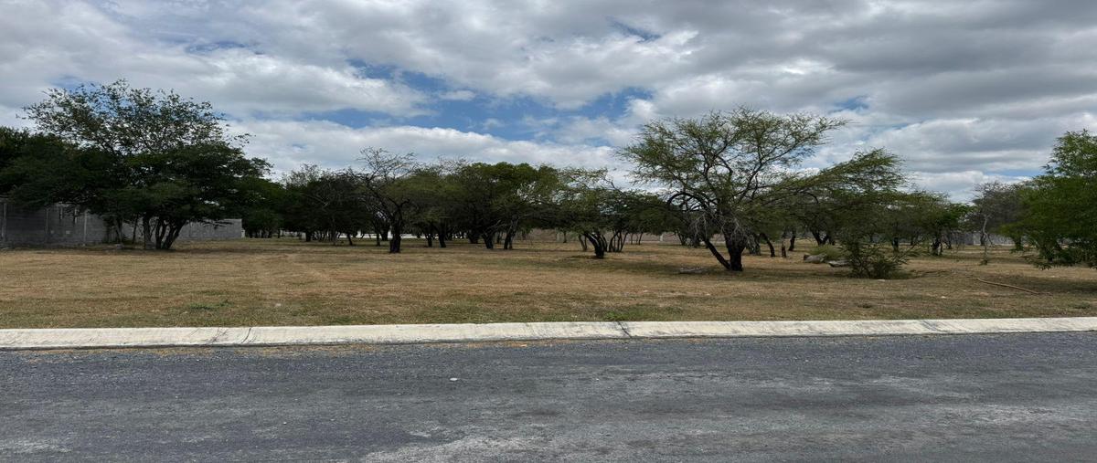 Foto de terreno habitacional en venta en  , montemorelos centro, montemorelos, nuevo león, 30139759 No. 04