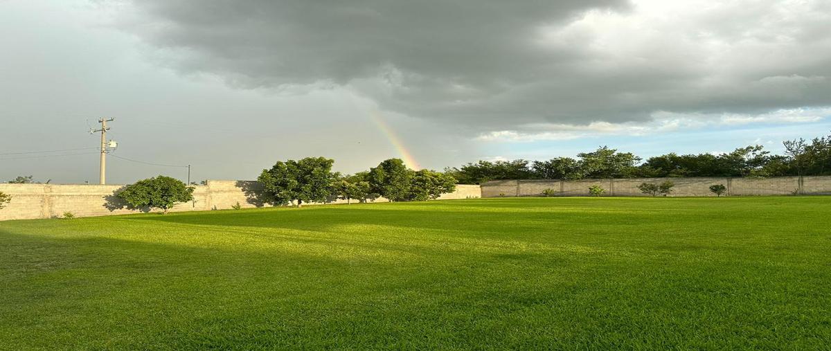 Foto de casa en venta en  , montemorelos centro, montemorelos, nuevo león, 30278200 No. 04