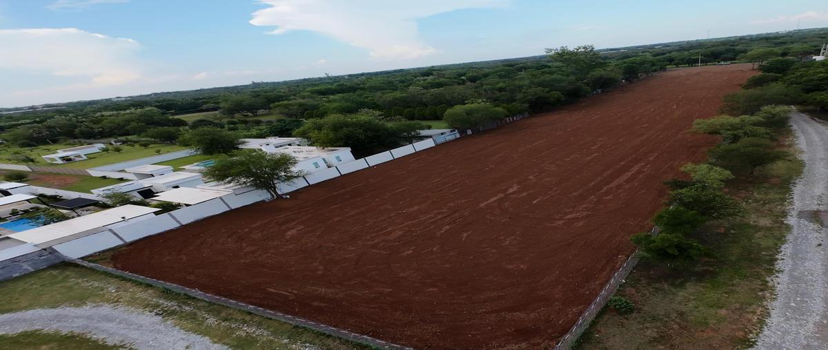 Foto de terreno habitacional en venta en  , montemorelos centro, montemorelos, nuevo león, 30284517 No. 04
