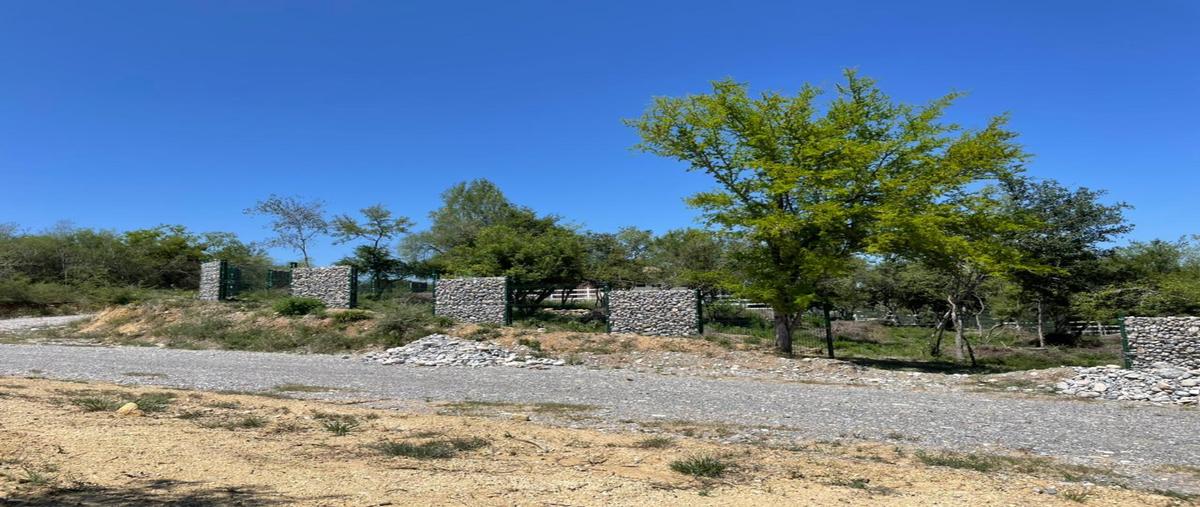Foto de terreno habitacional en venta en  , montemorelos centro, montemorelos, nuevo león, 0 No. 05