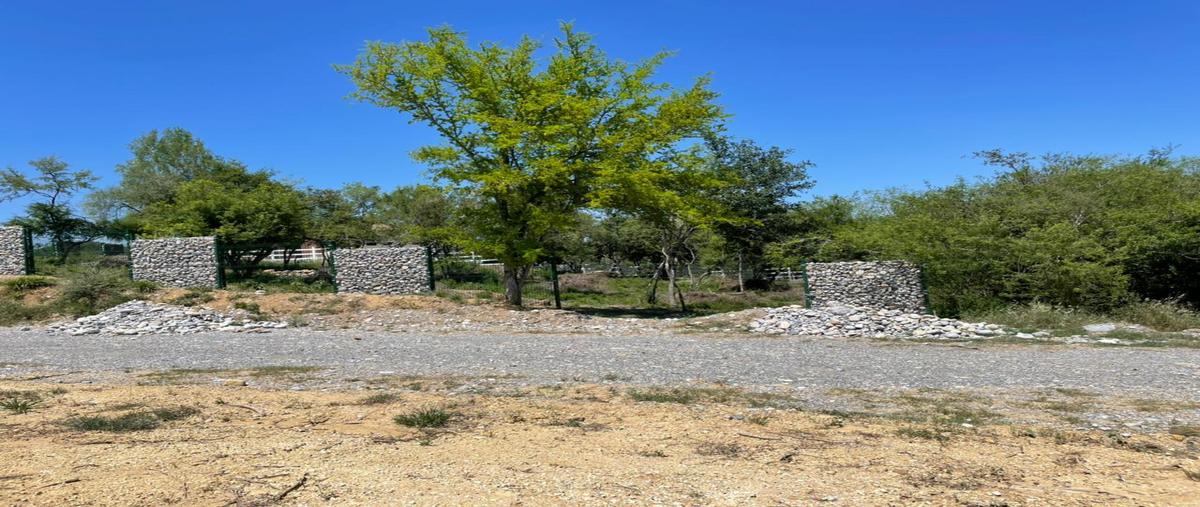 Foto de terreno habitacional en venta en  , montemorelos centro, montemorelos, nuevo león, 0 No. 03