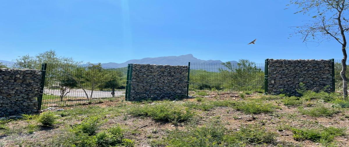 Foto de terreno habitacional en venta en  , montemorelos centro, montemorelos, nuevo león, 0 No. 04