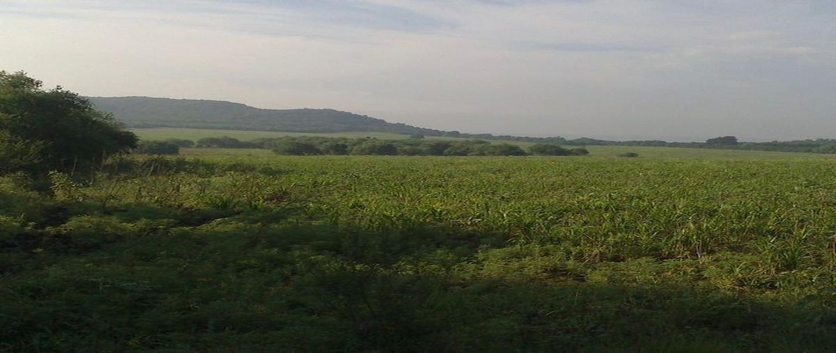 Foto de terreno habitacional en venta en  , montemorelos centro, montemorelos, nuevo león, 0 No. 03