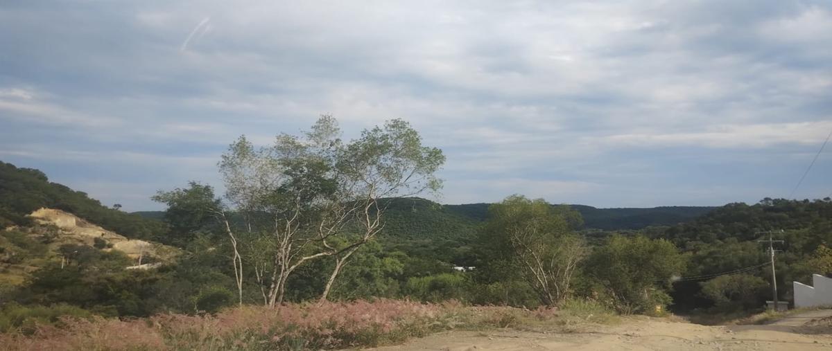 Foto de terreno habitacional en venta en  , montemorelos centro, montemorelos, nuevo león, 0 No. 04